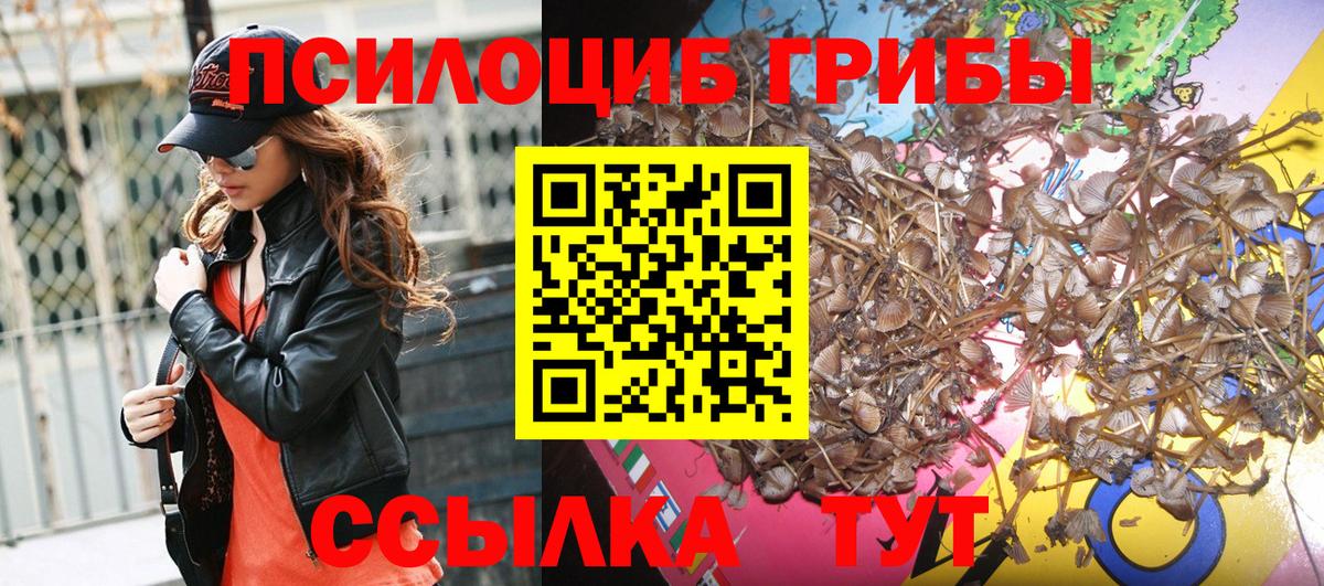 Кубинка  Галлюциногенные грибы Magic Shrooms  Вход с VPN 